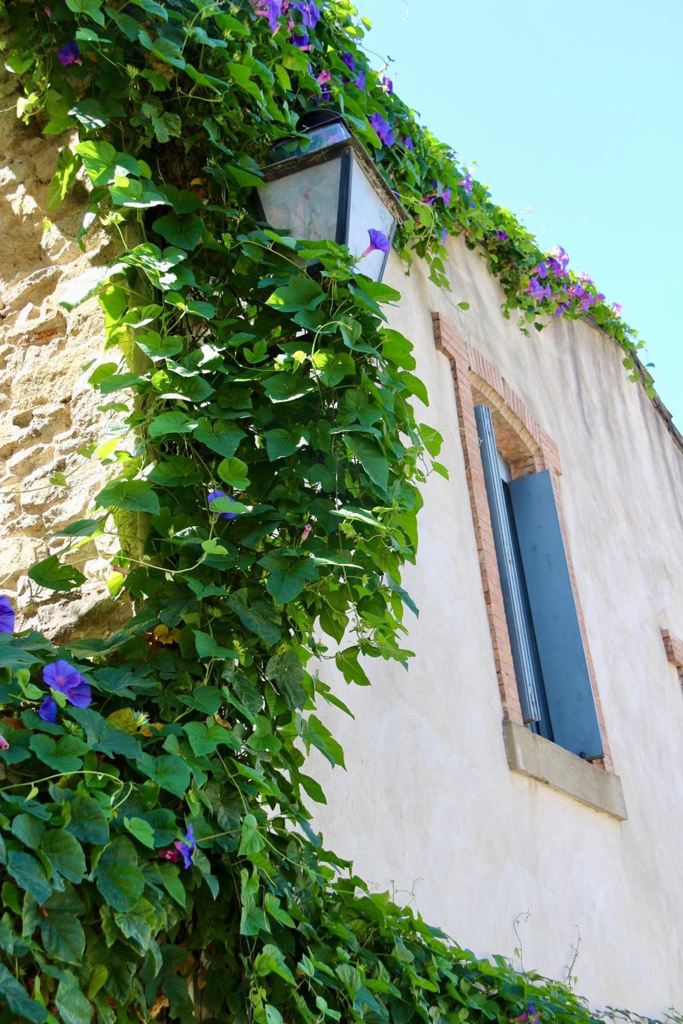 La Cite Secrete Villa Carcassonne Exterior photo